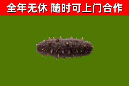 河西区烟酒回收干海参.jpg